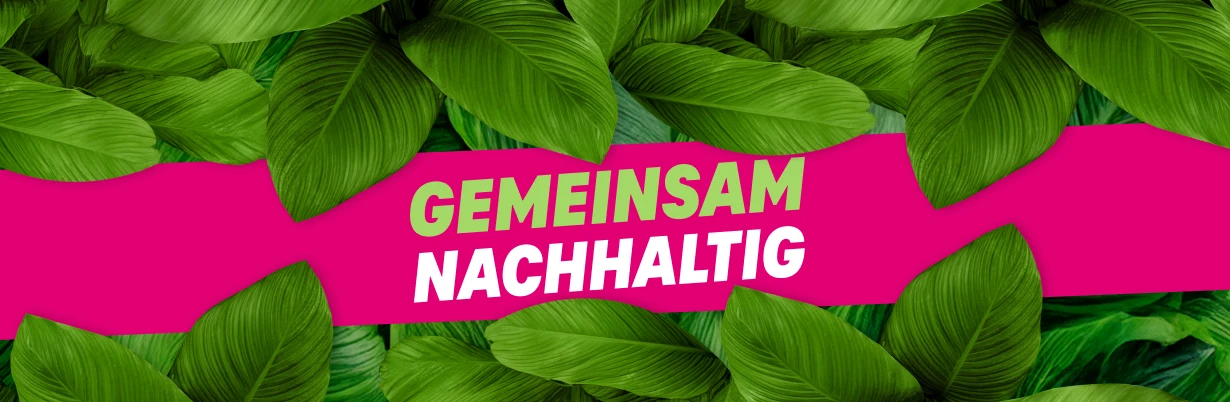 GreenMagenta: Das Netz der Telekom wird zu 100% mit Strom aus erneuerbaren Energien betrieben